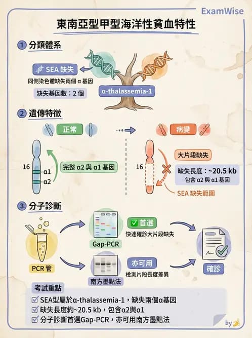 醫檢師 - 遺傳疾病基因檢測 - AI 圖文解析預覽