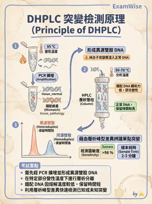 醫檢師 - 定序電泳與表觀分析 - AI 圖文解析預覽