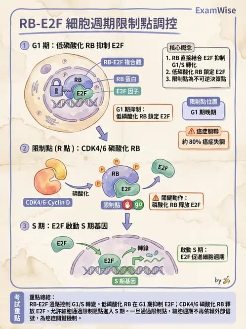 醫檢師 - 腫瘤疾病基因檢測 - AI 圖文解析預覽