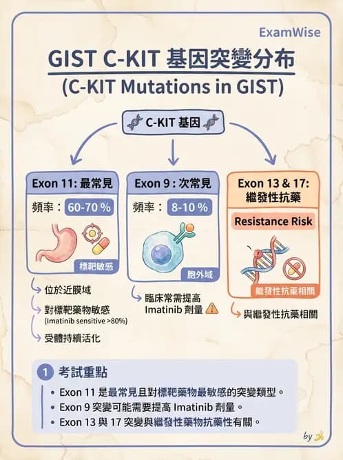 醫檢師 - 腫瘤疾病基因檢測 - AI 圖文解析預覽