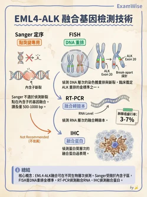 醫檢師 - 腫瘤疾病基因檢測 - AI 圖文解析預覽