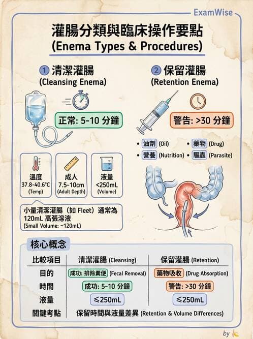 護理師 - 腸道排泄與灌腸護理 - AI 圖文解析預覽