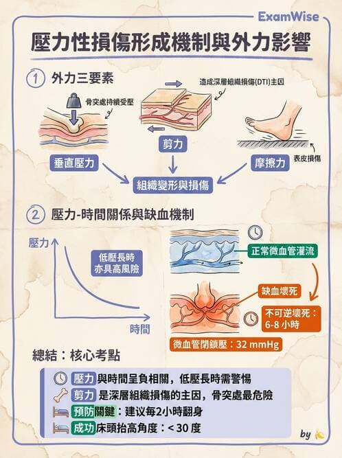 護理師 - 運動功能與傷口護理 - AI 圖文解析預覽