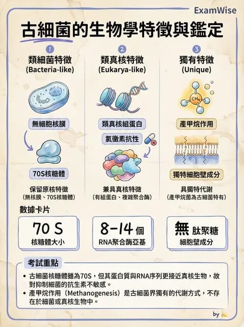 醫檢師 - 實驗室安全與微生物特性 - AI 圖文解析預覽