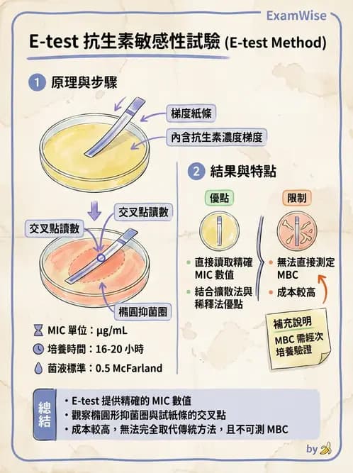 醫檢師 - 藥敏試驗方法 - AI 圖文解析預覽