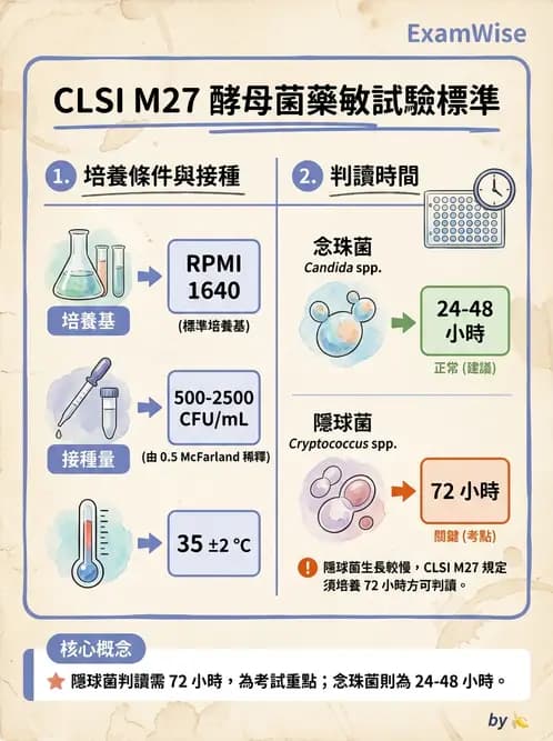 醫檢師 - 藥敏試驗方法 - AI 圖文解析預覽