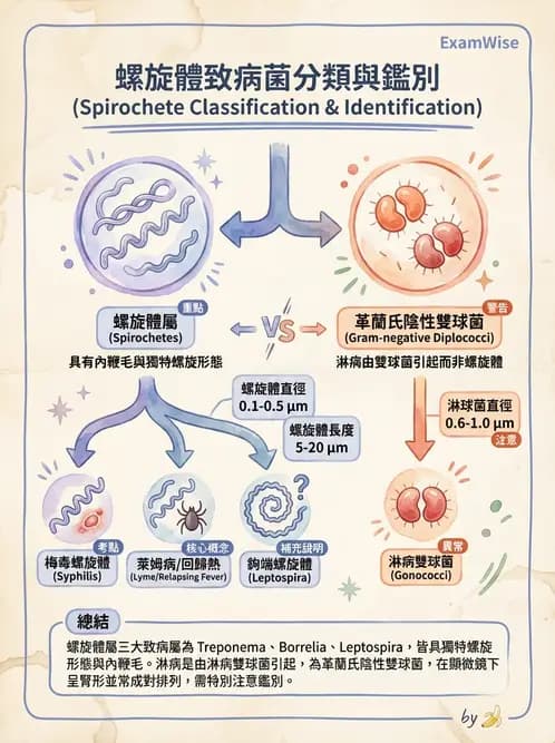 醫檢師 - 特殊病原體 - AI 圖文解析預覽