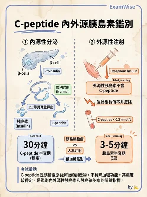 醫檢師 - 醣類代謝與糖尿病 - AI 圖文解析預覽
