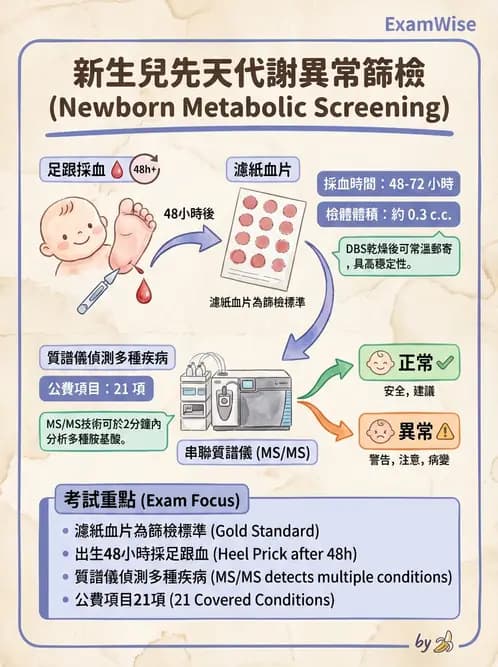 醫檢師 - 胺基酸代謝與先天性疾病 - AI 圖文解析預覽