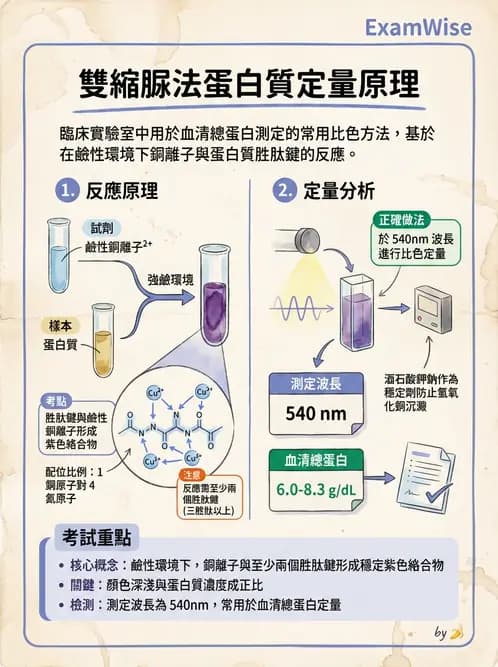 醫檢師 - 血清蛋白與蛋白質檢測 - AI 圖文解析預覽