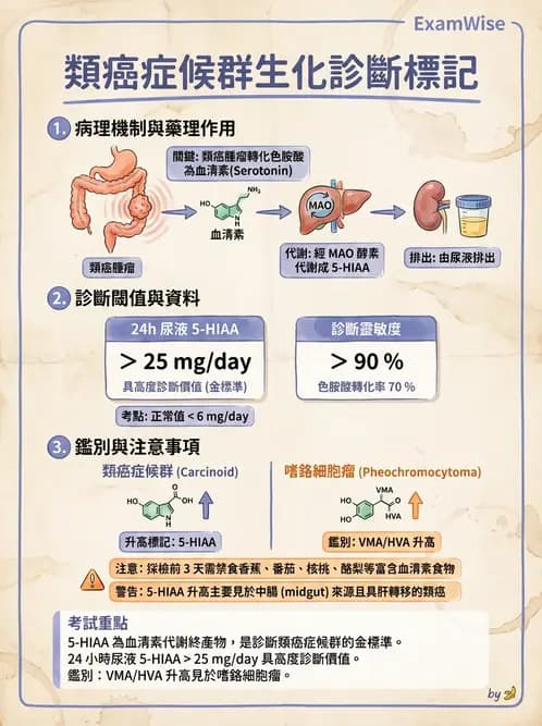醫檢師 - 腎上腺與生殖內分泌 - AI 圖文解析預覽