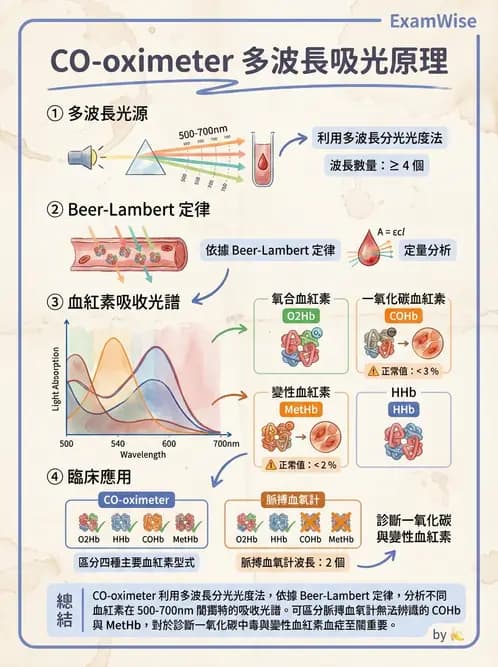 醫檢師 - 血液氣體分析及酸鹼平衡 - AI 圖文解析預覽