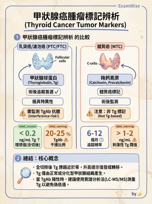 醫檢師 - 腫瘤標誌 - AI 圖文解析預覽