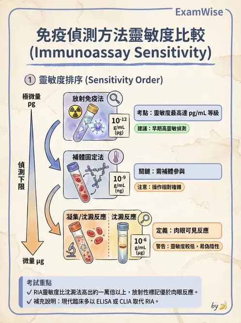 醫檢師 - 實驗室測試免疫法 - AI 圖文解析預覽