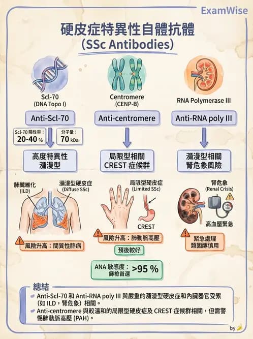 醫檢師 - 其他自體免疫疾病與自體抗體檢驗 - AI 圖文解析預覽