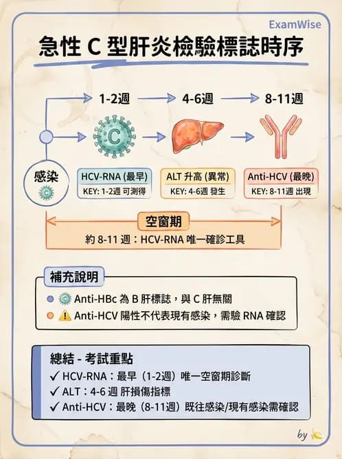 醫檢師 - 急性發炎蛋白與微生物感染血清學 - AI 圖文解析預覽