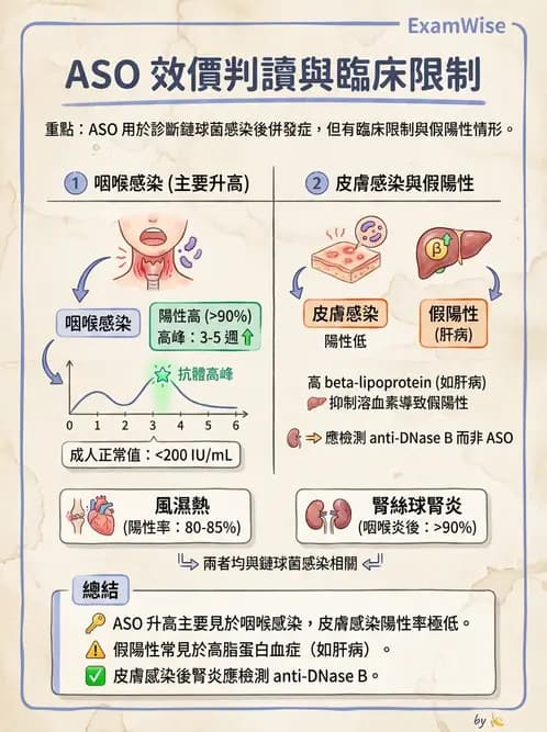 醫檢師 - 急性發炎蛋白與微生物感染血清學 - AI 圖文解析預覽