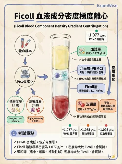 醫檢師 - 實驗室測試免疫法 - AI 圖文解析預覽