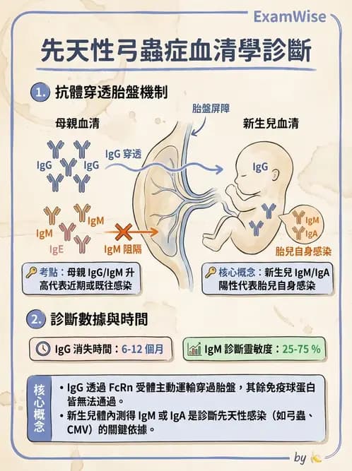 醫檢師 - 急性發炎蛋白與微生物感染血清學 - AI 圖文解析預覽