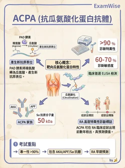 醫檢師 - 其他自體免疫疾病與自體抗體檢驗 - AI 圖文解析預覽