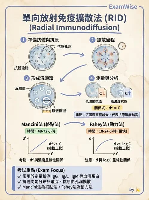 醫檢師 - 實驗室測試免疫法 - AI 圖文解析預覽