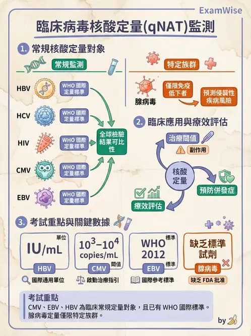 醫檢師 - 病毒檢驗技術 - AI 圖文解析預覽