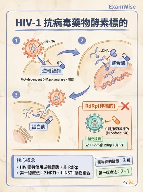 醫檢師 - 反轉錄病毒(HIV/HTLV) - AI 圖文解析預覽