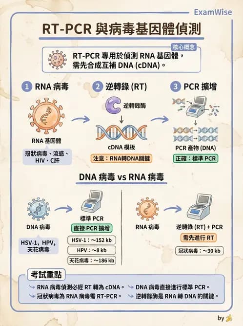 醫檢師 - 病毒檢驗技術 - AI 圖文解析預覽
