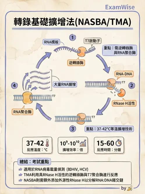 醫檢師 - 病毒檢驗技術 - AI 圖文解析預覽