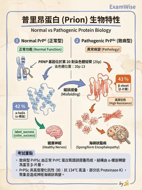 醫檢師 - 朊蛋白與其他DNA相關病原 - AI 圖文解析預覽