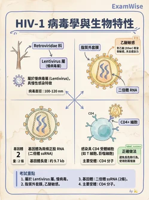 醫檢師 - 反轉錄病毒(HIV/HTLV) - AI 圖文解析預覽