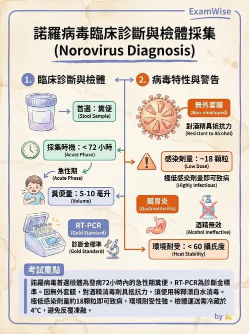 醫檢師 - 其他RNA病毒 - AI 圖文解析預覽