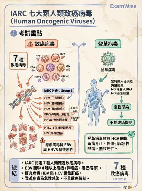 醫檢師 - 黃病毒科與蟲媒病毒 - AI 圖文解析預覽