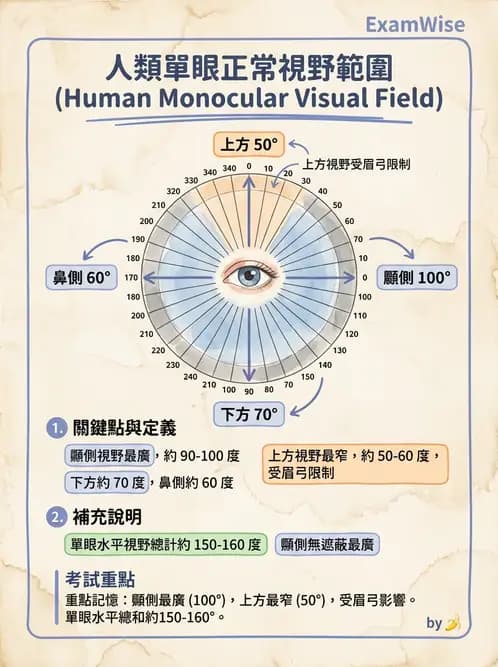 驗光師 - 視覺生理與檢查 - AI 圖文解析預覽