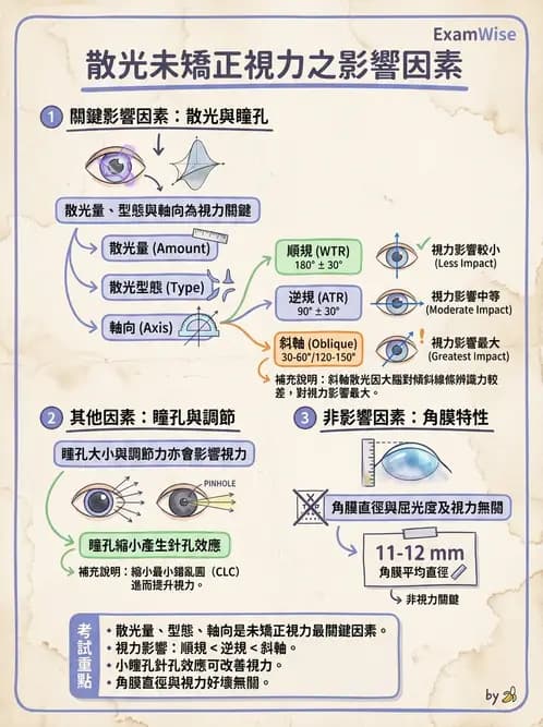 驗光師 - 散光分類與臨床判讀 - AI 圖文解析預覽