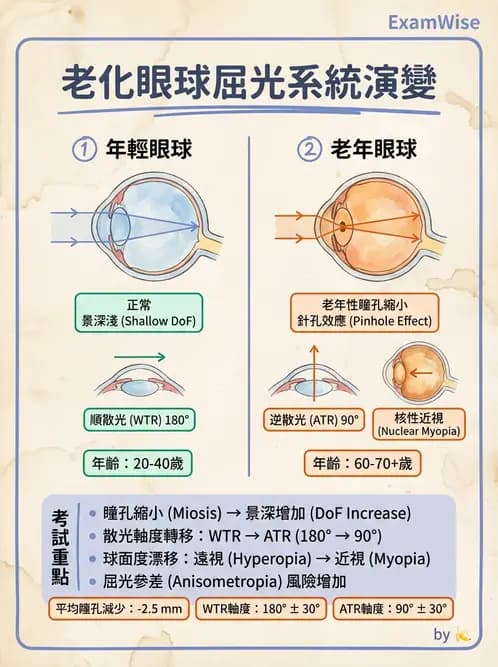 驗光師 - 屈光不正與近視遠視 - AI 圖文解析預覽