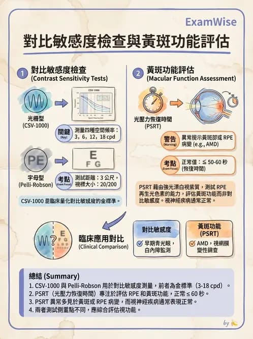 驗光師 - 對比敏感度與色覺檢查 - AI 圖文解析預覽