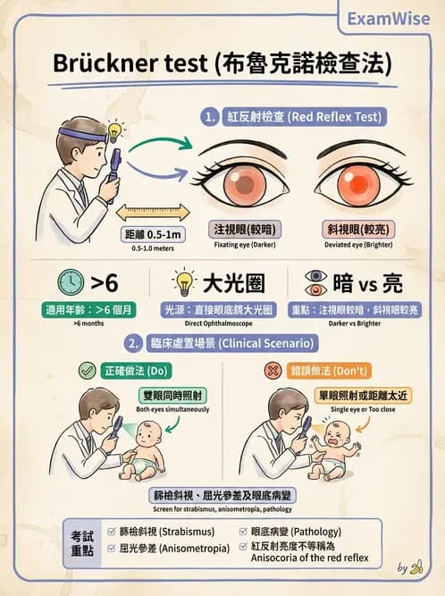 驗光師 - 眼外肌運動與眼位初步檢查 - AI 圖文解析預覽