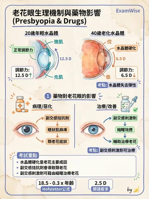 驗光師 - 老花眼概念、調節幅度與配鏡光學 - AI 圖文解析預覽
