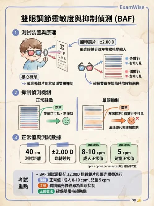 驗光師 - 調節功能與立體視融像評估 - AI 圖文解析預覽