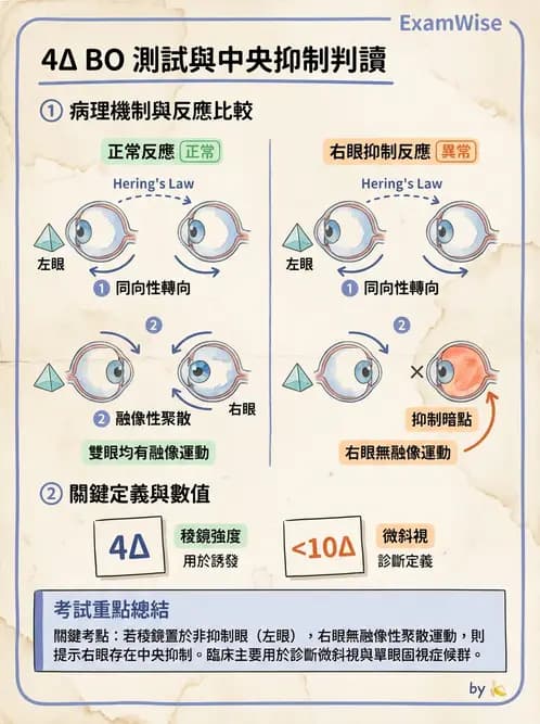 驗光師 - 稜鏡處方與垂直聚散處置 - AI 圖文解析預覽