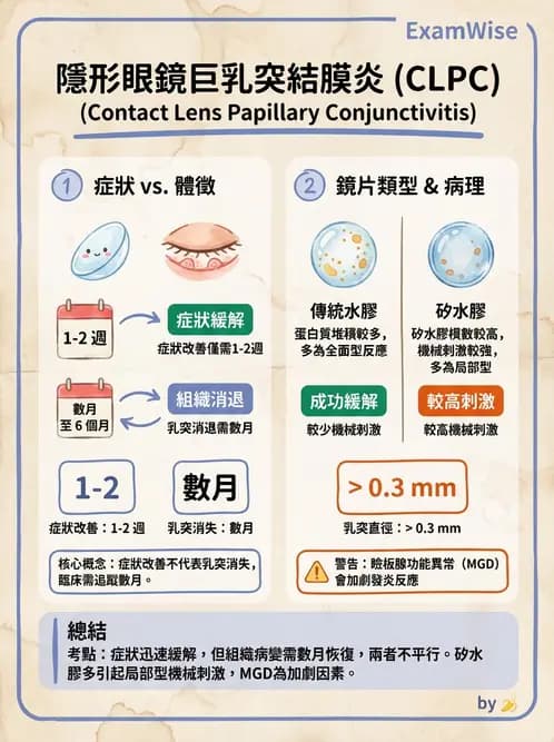 驗光師 - 結膜眼瞼反應、沉澱物與乾眼 - AI 圖文解析預覽