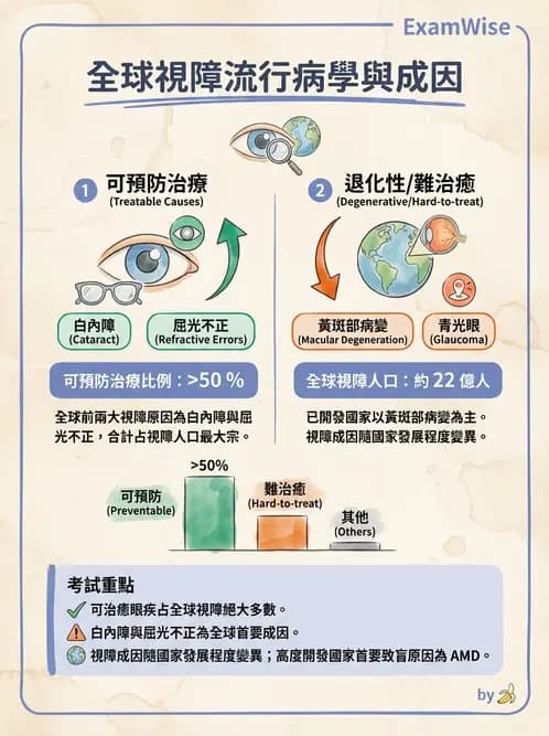 驗光師 - 視障的分類及流行分布 - AI 圖文解析預覽