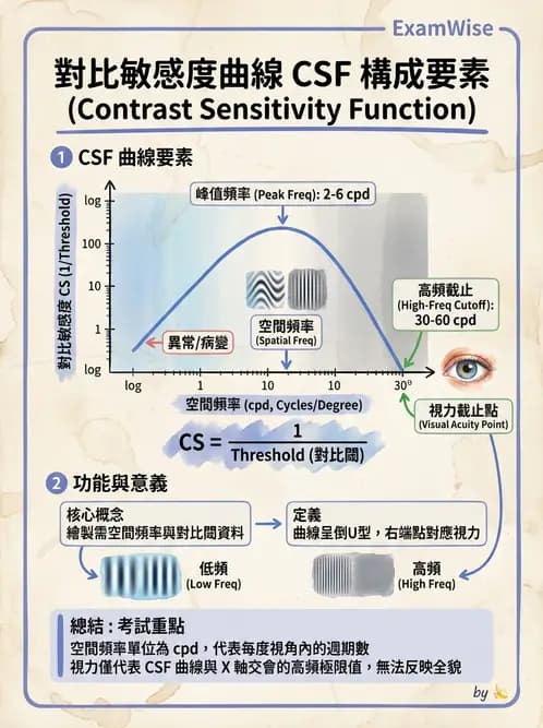 驗光師 - 功能性評估、對比敏感度與色覺 - AI 圖文解析預覽