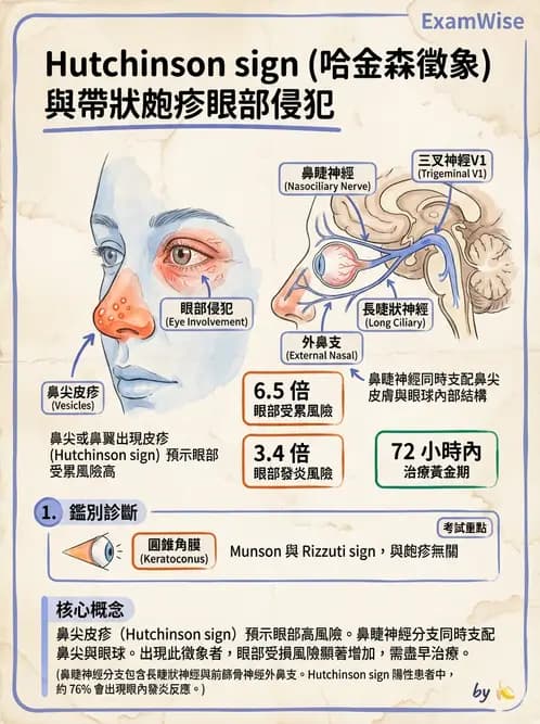 驗光師 - 感染性角結膜炎 - AI 圖文解析預覽