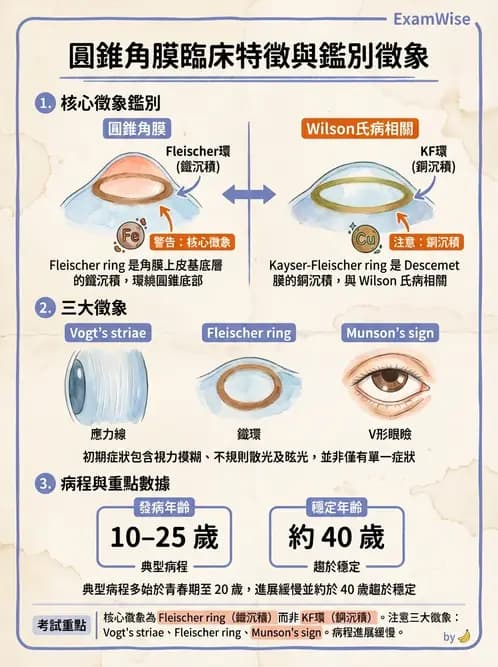 驗光師 - 角膜退化疾病與眼表問題 - AI 圖文解析預覽