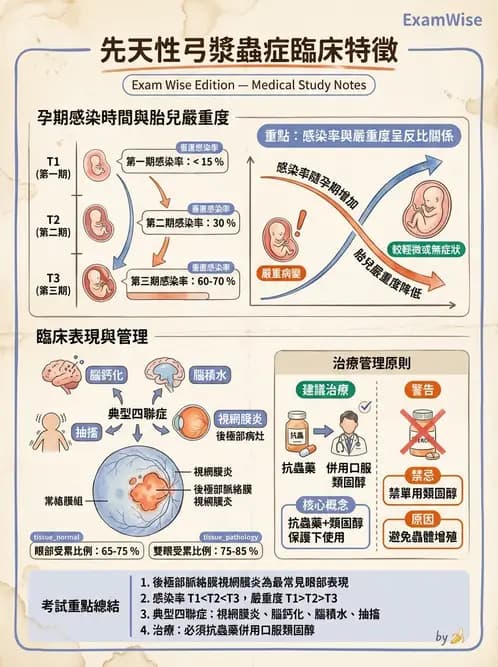 驗光師 - 葡萄膜炎與免疫相關眼病變 - AI 圖文解析預覽