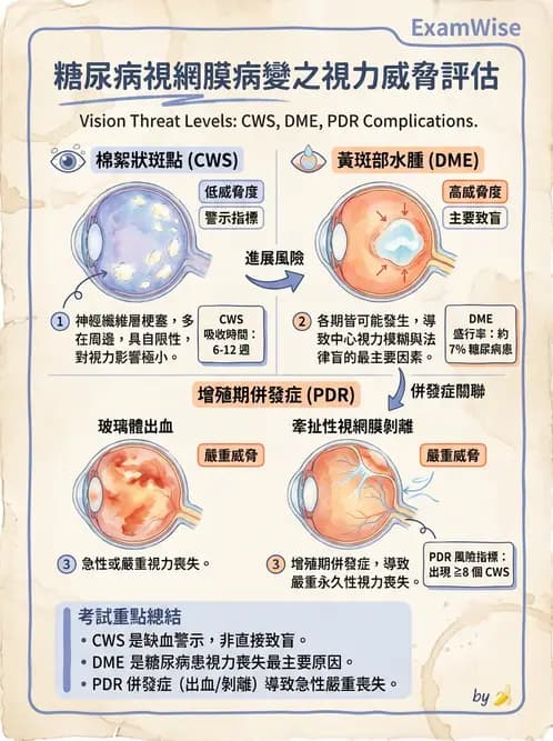 驗光師 - 糖尿病眼部病變 - AI 圖文解析預覽
