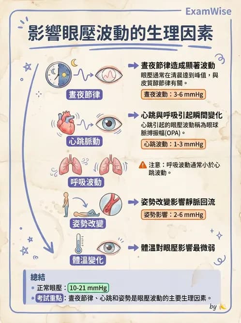 驗光師 - 青光眼分類、病因與危險因子 - AI 圖文解析預覽
