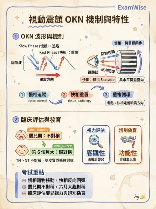 驗光師 - 視覺生理與檢查 - AI 圖文解析預覽